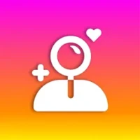 Insights: Instagram Followers