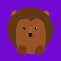 Moky - Random Video Chat